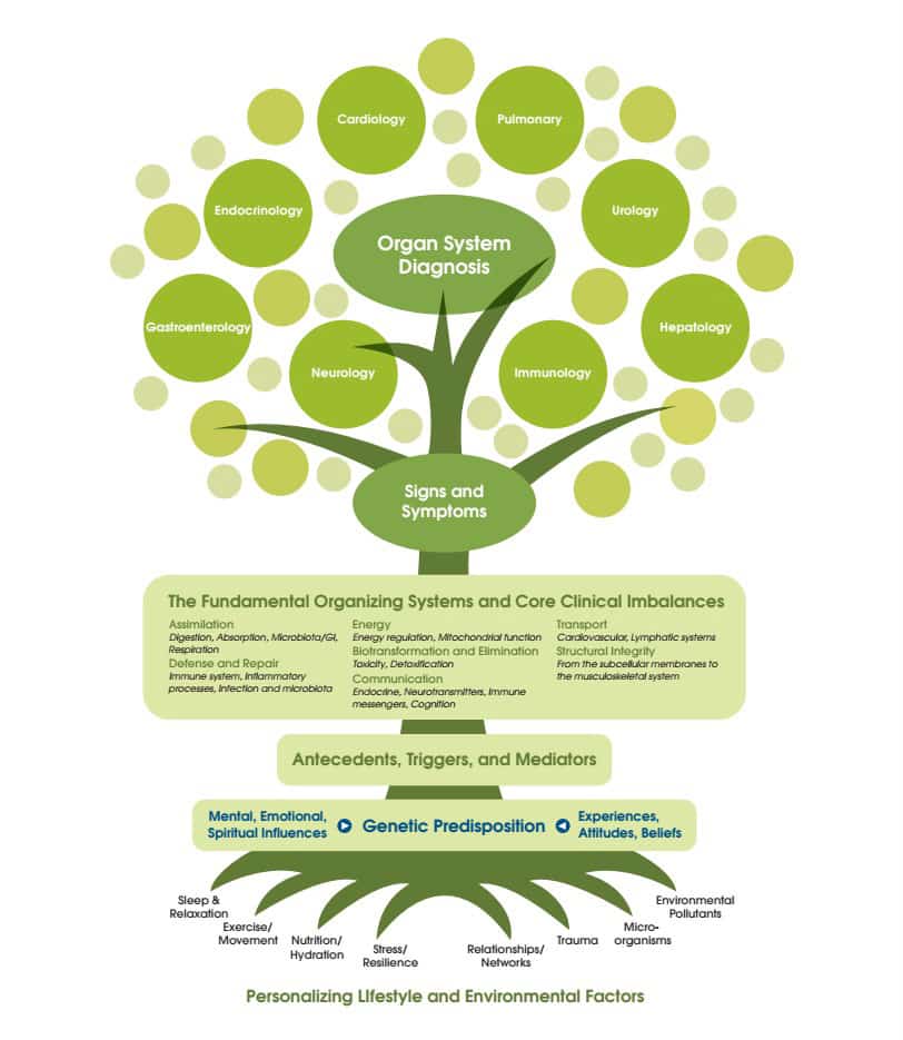 Functional Medicine Tree